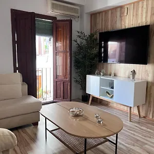  Apartment Con Patio 4 En El Casco Historico Spain